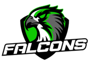 Falcons house logo