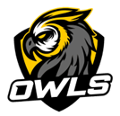 Owls house logo
